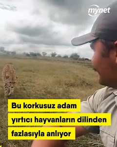 1.9M views · 2.3K reactions | Bu korkusuz adam, yırtıcı hayvanların dilinden fazlasıyla anlıyor  Gavin Swart IG: instagram.com/gavin.swart TT: tiktok.com/@gavin.swart | Mynet | Facebook