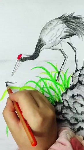 How to Draw a Crane: Step-by-Step Tutorial