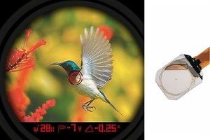 Flawless Triad-View Transparent OLED Module