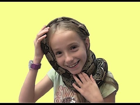 Reptile Collection: THE SNAKE GIRL! Krista Guarino (New Update)