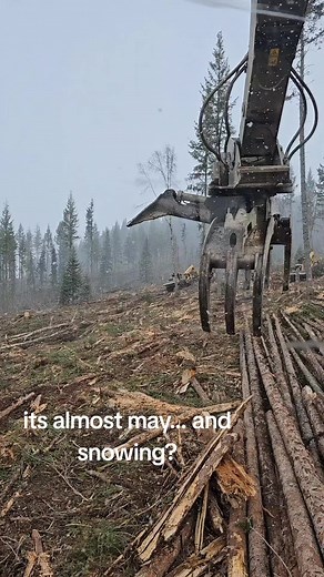 snow? again? #logging #canadianlogging #canada #britishcolumbia #canadian