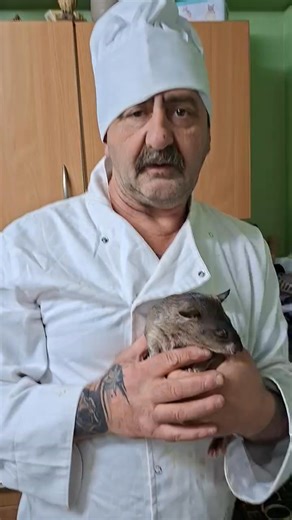 Back in the kitchen cooking with ruby | Martin Critchlow