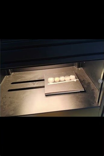 Collection of Hyperspectral Data of White Sugar, Chicken Essence, Monosodium Glutamate,