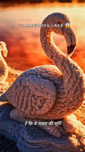 यह झील जानवरों को पत्थर बना देती है 😱 | Lake Natron #shorts