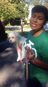 921 reactions · 36 shares | Part two!! LadyBird passed the test! | Allison Seymour TV | Facebook