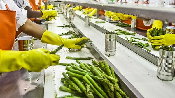 Efficient Chicken Processing with Machines and Skilled Experts