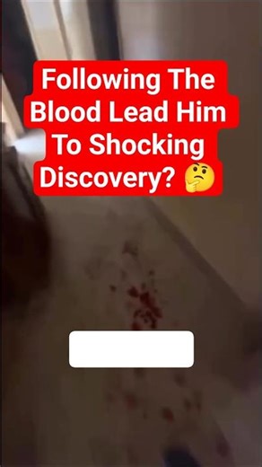 Blood Lead Him To Discovery? 🤔