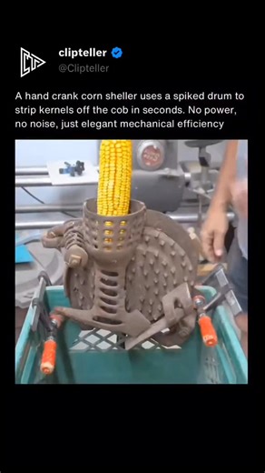 Clipteller on Instagram: "A hand crank corn sheller is a manual,, table-mounted machine used to remove dry corn kernels from the cob quickly and efficiently. These tools are popular for small farms, homesteads, and household kitchens, allowing for the processing of corn for food (like tortillas) or livestock feed. Key Features and Options Material: Most are constructed from heavy-duty, durable cast iron. Operation: The user inserts a dried corn cob into the machine and cranks a handle, which use