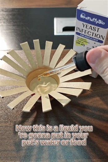 Effective Treatments for Pet Yeast Infections