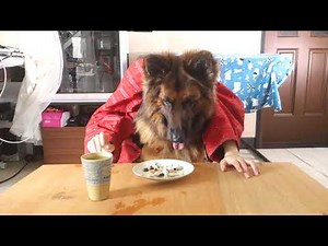 後ろからこんにちは！【人面ケロベロス犬】