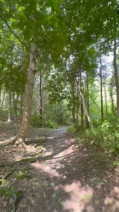 Take a walk with me thru the Fort Hill - Red Maple Swamp Trail - Eastham. Cape Cod, Massachusetts https://www.nps.gov/caco/planyourvisit/forthill.htm | Cape Cod, Massachusetts