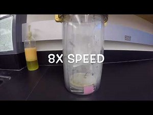 Microbiology Lab Project: Anaerobic Jar v2