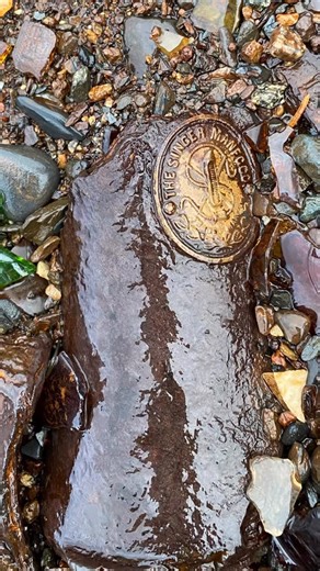 Alaskan Distractions on Instagram: "I took this entire piece home and dried it out! And with a lot of tapping and scrubbing, I was able to remove it from its corroded metal backing and got it shining again! It appears to be the badge from a 1920s Singer treadle sewing machine! 😍🧵 #beachcombing #mudlarking #vintage #vintagefinds #antique"