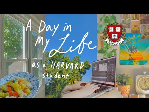 a day in my life as a harvard student | summer at home, picnic, course selection