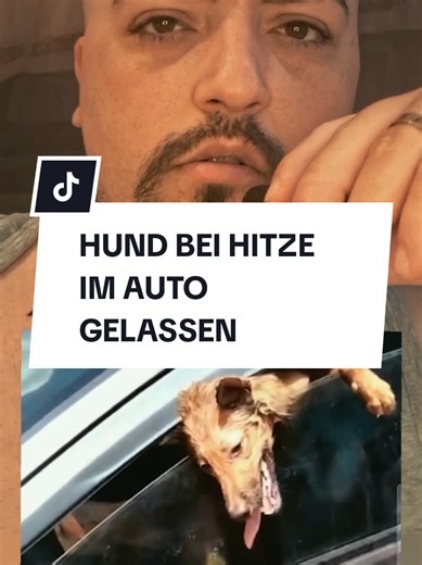 ❌️Hund alleine im auto gelassen❌️ #hund #auto #hitze #tierschutz #fyp