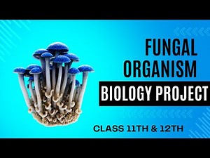 Project No. 11 biology | Class 11th & 12th