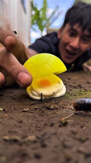Sly Tarzan stacking and herding cute millipedes #millipedes