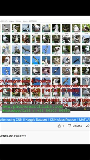 PhD Research Labs | Bird Species Classification using CNN _ Kaggle Dataset _ CNN classification _ MATLAB code www.phdresearchlabs.com | WhatsApp/Call : +91... | Instagram