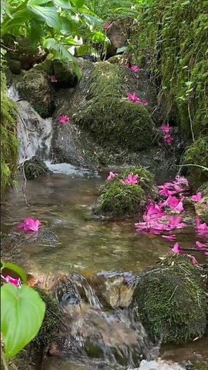 Let This Stream and Singing Bowls Calm Your Mind