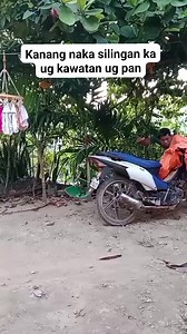 Mao diay nangawala | Rodrigo Parot