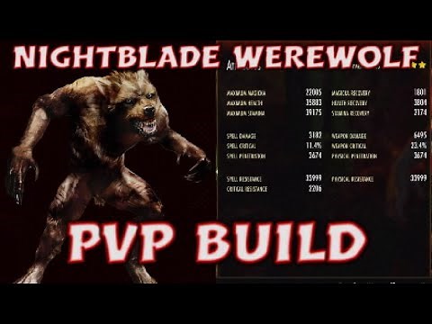 ESO - Nightblade Werewolf PvP Build For Blackwood!!!