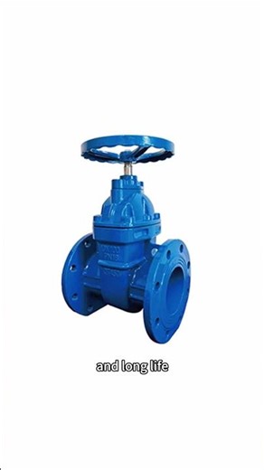 Strength Under Pressure 🛠️ | Weitai Z45T Copper Core Gate Valve