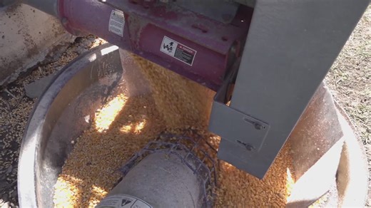 Corteva Agriscience splits into two companies