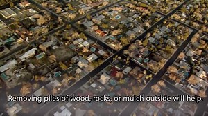 57K views · 271 reactions | Certain creepy crawlers in the Las Vegas...