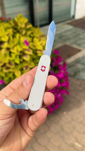 Victorinox bantam alox #edc #sak #wenger #outdoors