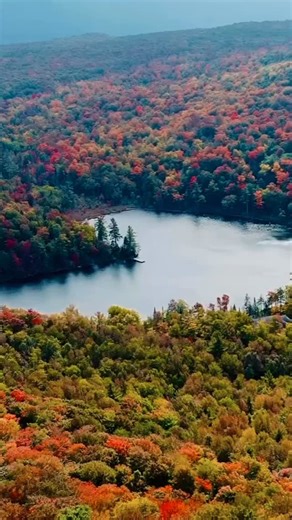 The best time of the year to be in Quebec #fall #quebec #colorful #canada🇨🇦 #quebec @cantonsdelest | Clément Feuz Photographie
