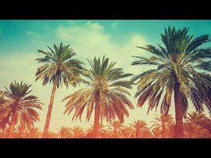 Turkish Airlines Ad song 2021 - Fly Above by Mahmut Orhan ft Sena Sener (Extended Mix)