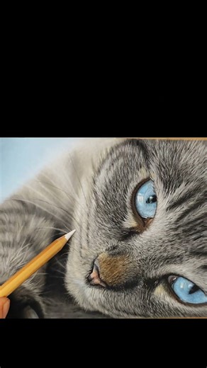 Cat drawing with pastels