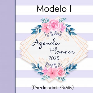AGENDA / PLANNER 2020 PARA IMPRIMIR (MODELO 1)
