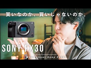 Sonyの新カメラ FX30 ってぶっちゃけどう？