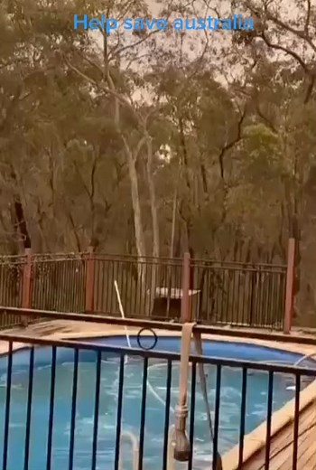 Save the world by not using plastic pls