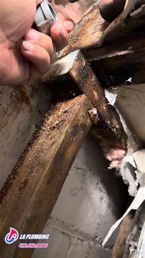 Test VEVOR Ratchet Pipe Threader Kit, 1/4" NPT - 1-1/4" NPT Manual Ratcheting Pipe.