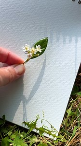 Real flower or my drawing ✨ | Aska Hall