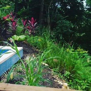 24 reactions | From your private plunge pool, to panoramic jungle and Macal River views, our Tree Top Villas offer a truly unique Belizean travel experience https://www.chaacreek.com/accommodations/belize-treetop-villas | The Lodge at Chaa Creek | Facebook