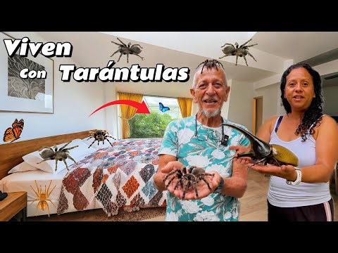 Couple lives with tarantulas and many insects in their Amazonian home