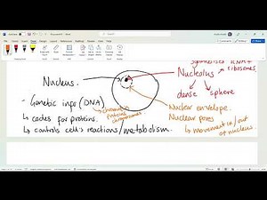 BTEC Human Biology unit 1 - revision 1 - cell ultrastructure