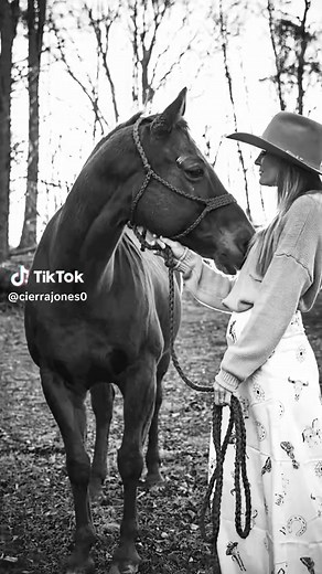 My one and only Sadie girl❤️ She’s the one the brought breathe back into my barrel racing and training career. I love my red dragon. #cjperformancehorses #barrelracer #barrelhorses #barreltrainer
