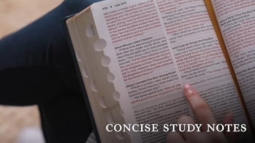 NKJV Foundation Study Bible, LP Video
