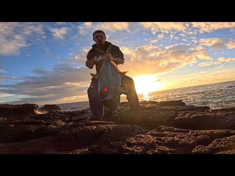 hawaiian style ulua fihing bigisland hawaii/my first solo survival camping trip
