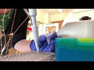 YHS: BCA Assay ft. Dr. Madeline Keleher