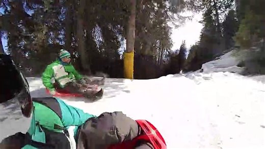 Breathtaking Descent in a Snow Toboggan