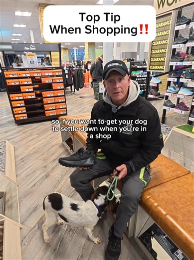 Top Tips for Shopping with Your Dog