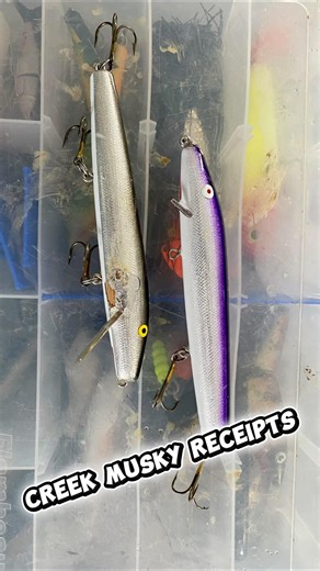 Clean baits don’t catch musky! What’s your go to lures? #muskyfishing #fishing #fishinglures
