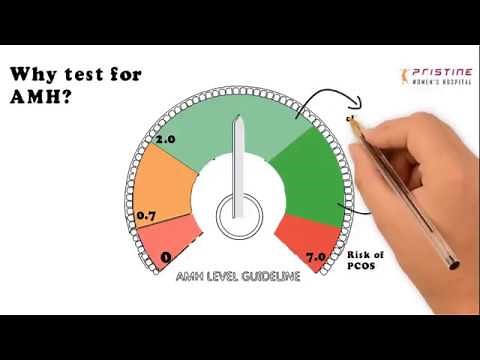 AMH (Anti-Mullerian Hormone) - What is AMH, Test, Impacts, Treatments, Risks, Levels