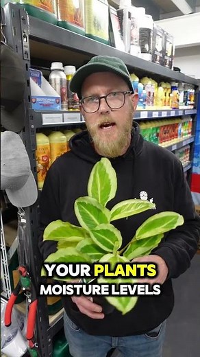 The Perfect Potting Soil Mix for Thriving Indoor Plants 🌿