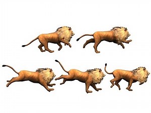 Science -- How do animals move - English